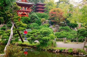 Japanese Tea Garden
