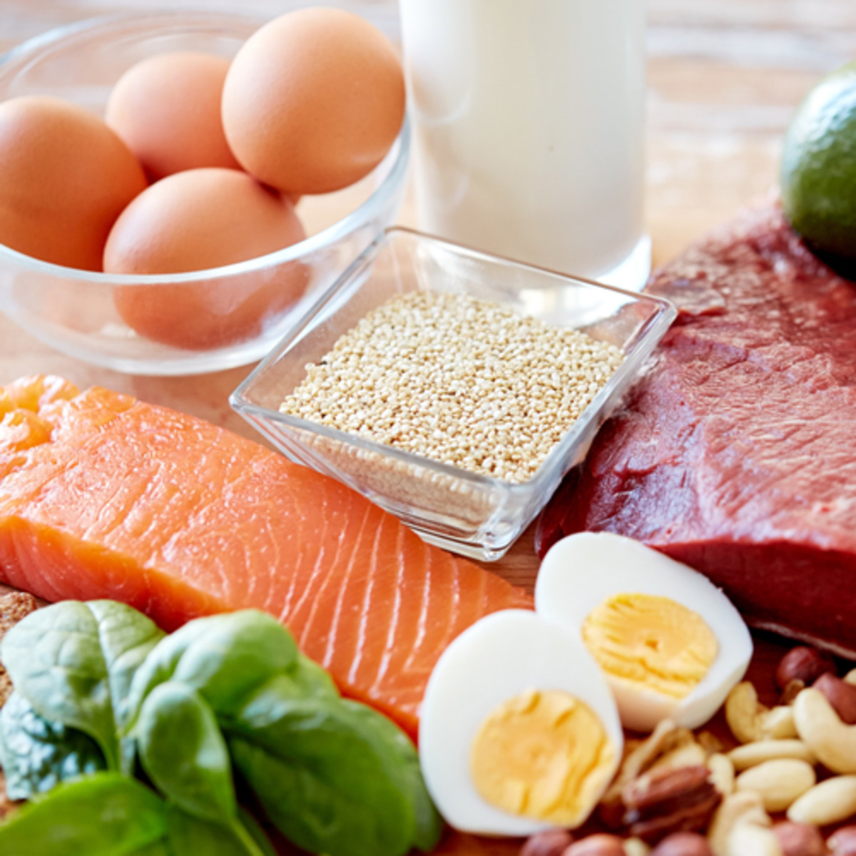 research paper about high protein diet